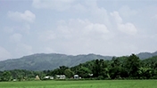 Video: Revitalizing Assam's Agriculture